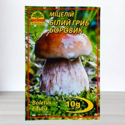 Міцелій гриба Білий, 10г